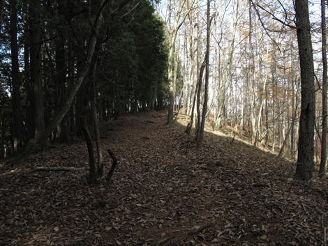 20151116hike (109)
